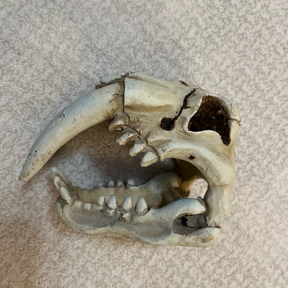 Reptile and aquarium items - Picture 7 of 10